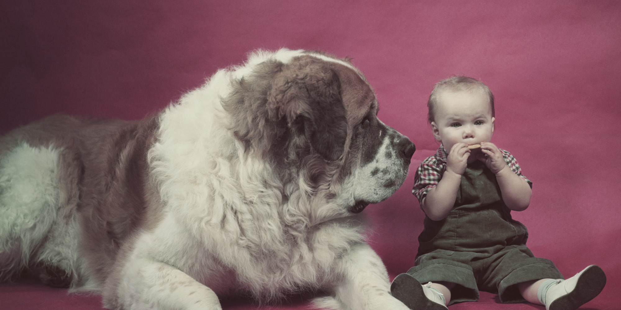 BABY-WITH-BIG-DOG